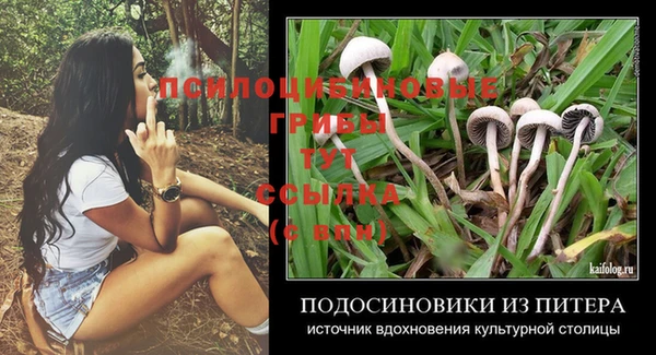 ГАЛЛЮЦИНОГЕННЫЕ ГРИБЫ Алзамай