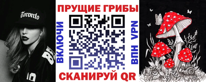 как найти наркотики  Иркутск  Галлюциногенные грибы Psilocybe 